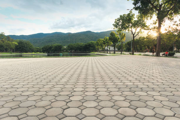 Best Driveway Resurfacing Pavers  in La Cienega, NM